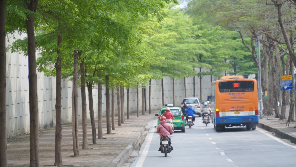 Hết lá vàng, giới trẻ lại