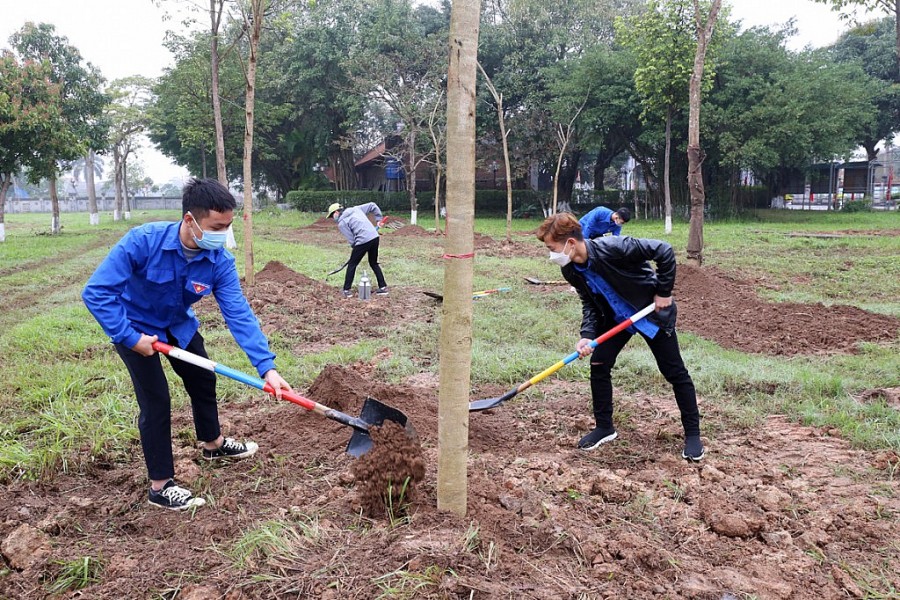 Tuổi trẻ Thủ đô phấn đấu trồng 100.000 cây xanh trên địa bàn thành phố