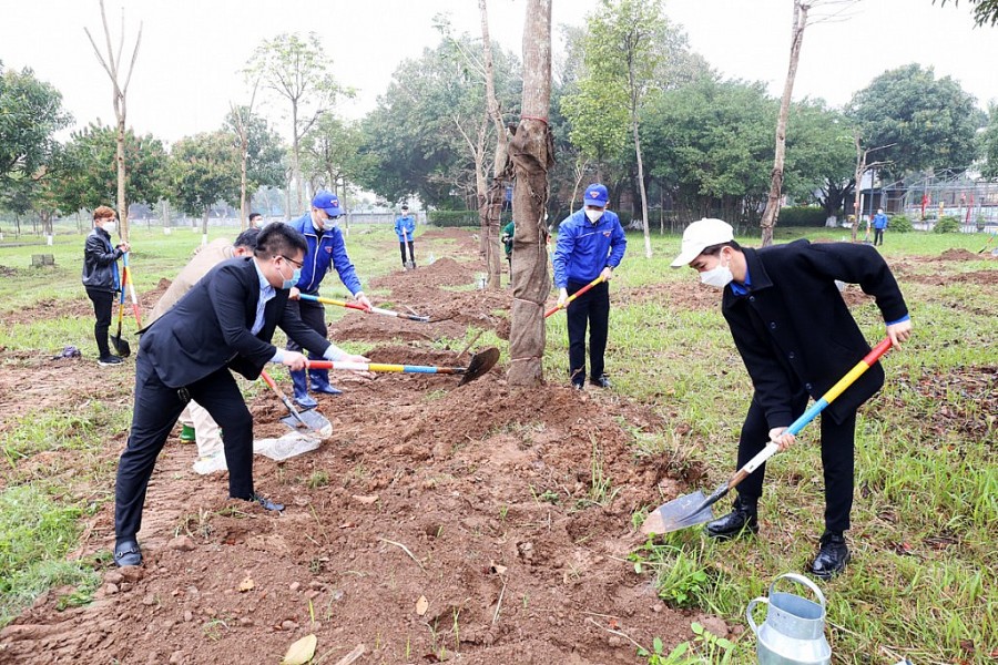 Tuổi trẻ Thủ đô phấn đấu trồng 100.000 cây xanh trên địa bàn thành phố