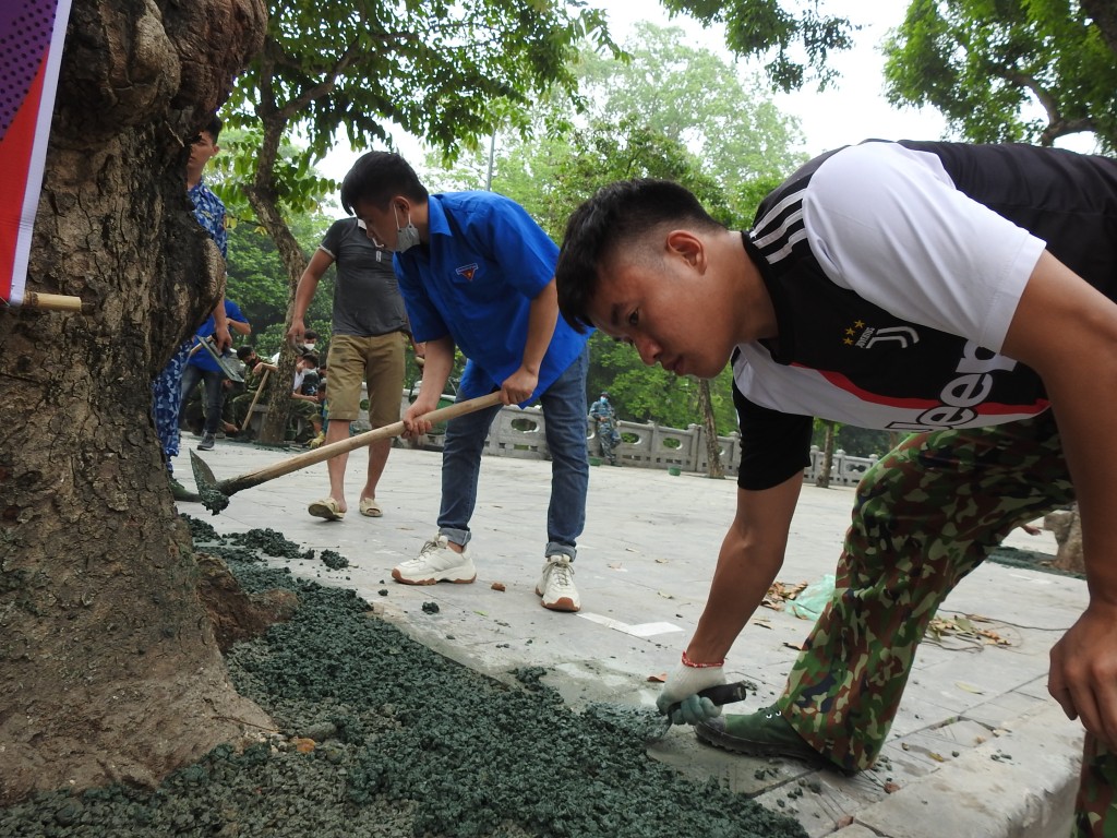 Trong 2 ngày 25 và 26/4, Thị đoàn Sơn Tây phối hợp với Đoàn Thanh niên Trường Đại học Xây dựng triển khai đưa vào sử dụng “Công trình thanh niên trang trí các gốc cây xanh trên tuyến phố đi bộ bằng vật liệu bê tông xốp công nghệ Nhật Bản”.