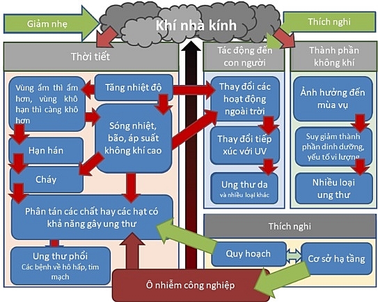 nang nong cuc doan lam tang nguy co hinh thanh ung thu