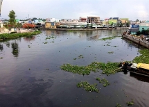Sông Cái Hậu Giang chuyển màu đen kịt: 15 ngày chưa tìm ra nguyên nhân