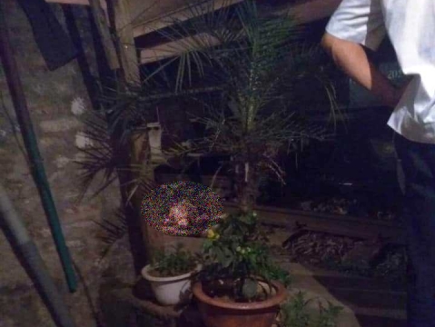 Tai nạn tàu hỏa khiến người đàn ông bị đứt làm đôi