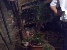 Tai nạn tàu hỏa khiến người đàn ông bị đứt làm đôi