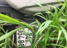 Lào Cai: Ô tô con lao xuống vực, 2 người thương vong