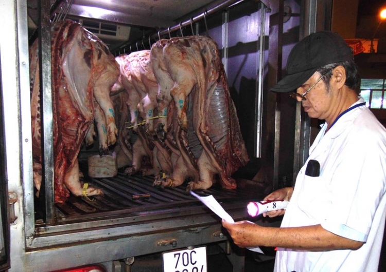 Dịch tả heo châu Phi bùng phát: Lỗi tại ai?