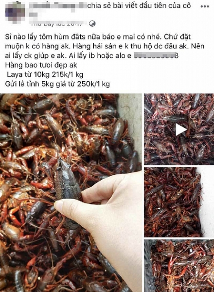 tom hum dat tran ngap thi truong moi nguy tu trung quoc sang viet nam