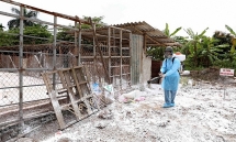 dich ta lon chau phi tiep tuc lan rong 16 trieu con da phai tieu huy