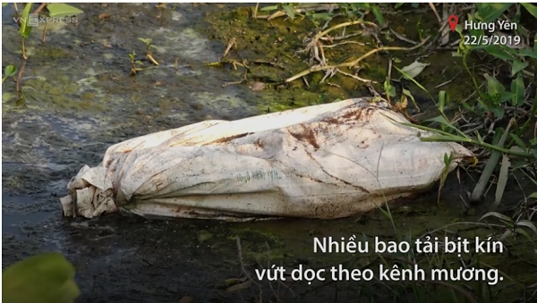 Bao tải chứa lợn chết bị vứt xuống kênh mương ở Hưng Yên