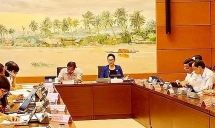 Chủ tịch Quốc hội Nguyễn Thị Kim Ngân: Nông nghiệp năm nay sẽ rất khó khăn vì dịch bệnh