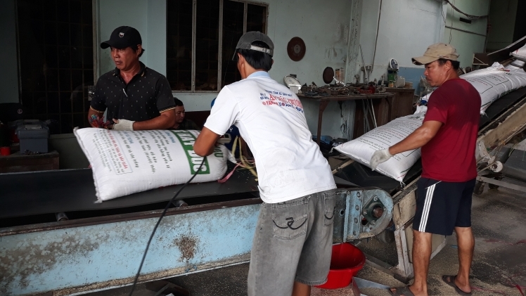 Thị trường lúa gạo hết “đóng băng”: Thực tế đầy băn khoăn