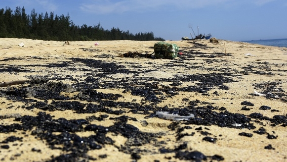Hơn 2 km bờ biển Quảng Ngãi có màu đen bất thường