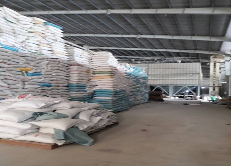 Thu mua lúa gạo dự trữ và xuất khẩu: Góc khuất đáng lo ngại