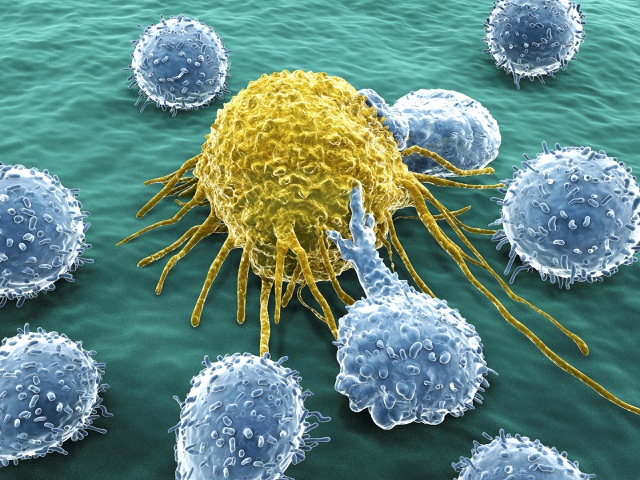 Phát hiện mới: Loại ung thư kháng được hóa, xạ trị lại 