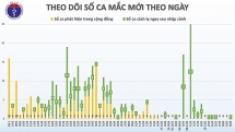 ca mac covid 19 thu 328 la nguoi thanh hoa tu nuoc ngoai ve