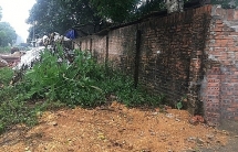 Người dân ở Hà Nội phản đối việc chôn 6 tấn lợn dịch trong vườn