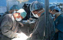 Bác sĩ cũng sốc: Dòi bò lúc nhúc trong khối bướu ung thư của bệnh nhân