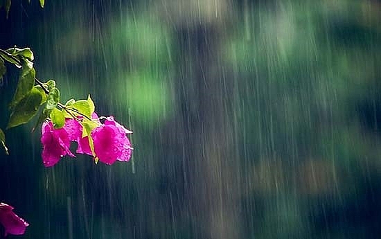 Dự báo thời tiết ngày 24/6: Hà Nội đón mưa rào trước thềm kỳ thi THPT Quốc gia