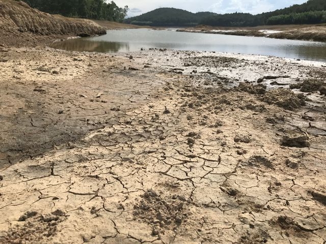 Chủ động ứng phó với nắng nóng, hạn hán và xâm nhập mặn khu vực Trung Bộ và Tây Nguyên