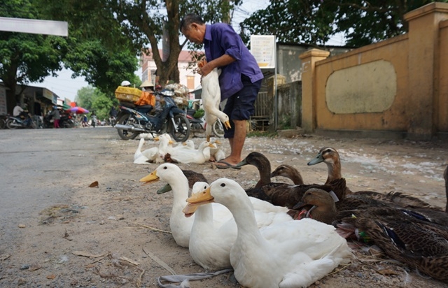 tet doan ngo xua chon que ngheo