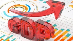 Dịch Covid-19 diễn biến phức tạp, GDP quý II/2021 vẫn tăng 6,61%