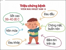 Sốt kèm nôn khan, hãy nghĩ ngay đến viêm não Nhật Bản