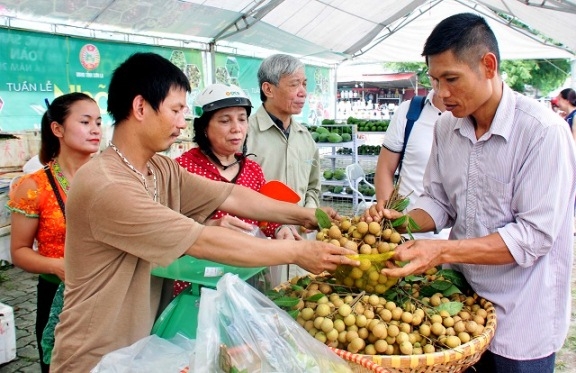 Liên kết chuỗi giá trị: Tránh tình trạng ‘được mùa, mất giá’
