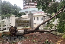 Bão số 2 gây nhiều thiệt hại tại các địa phương, làm 2 người chết