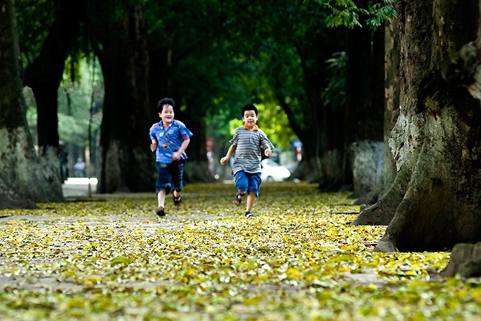 Dự báo thời tiết ngày 11/7: Hà Nội ngày nắng nhẹ, đêm mưa rào