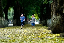 Dự báo thời tiết ngày 11/7: Hà Nội ngày nắng nhẹ, đêm mưa rào