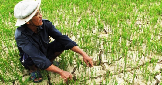 Nhiều khả năng xảy ra hạn hán, thiếu nước và xâm nhập mặn trong năm nay Nhiều khả năng xảy ra hạn hán, thiếu nước và xâm nhập mặn trong năm nay