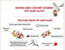 Bệnh nhân nhập viện do sốt xuất huyết gia tăng