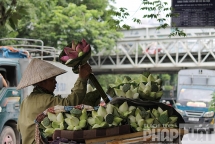du bao thoi tiet 2 ngay cuoi tuan ha noi nong gay gat gia tang tia uv gay hai