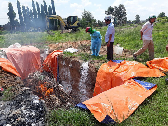 Dịch tả lợn châu Phi chưa có dấu hiệu ‘chùn bước’