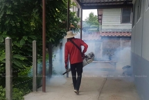 Đông Nam Á xuất hiện các chủng sốt rét kháng thuốc