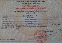 Hàng trăm giáo viên có thể mất việc vì chứng nhận nghiệp vụ sư phạm