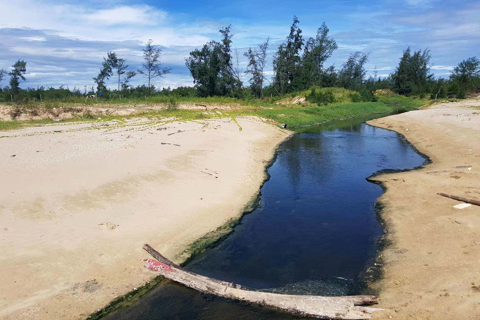 bo bien o ha tinh boc mui vi trai tom xa thai