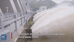 Mưa lũ lịch sử đang càn quét Trung Quốc liệu có "đe doạ" Việt Nam?