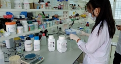 Hai nữ sinh lớp 11 nghiên cứu khả năng kháng đái tháo đường của cây lá gai