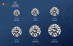 doji va the gioi kim cuong ra mat bst kim cuong vien bach loc truong cuu sieu hot