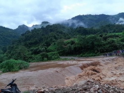 ha giang mua sam sap tu dem toi sang nhan chim nhieu o to