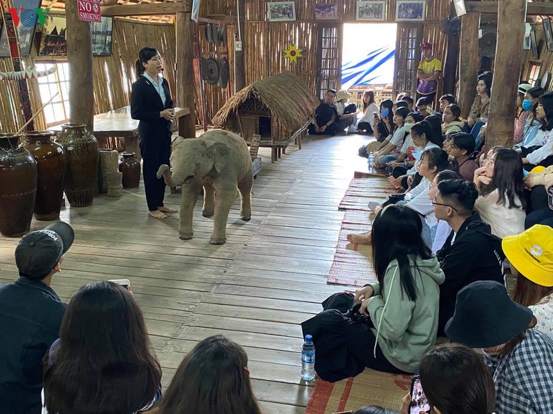 dak lak cham dut du lich trai nghiem cuoi voi de bao ton hieu qua hinh 2