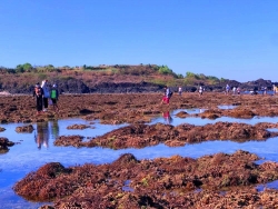 quang ngai san ho tuyet dep o ganh yen bi xam hai