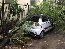 Bão Wipha về trong đêm, gió lớn quật cây cối ngổn ngang ở Hà Nội