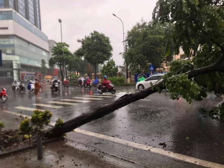 bao wipha ve trong dem gio lon quat cay coi ngon ngang o ha noi