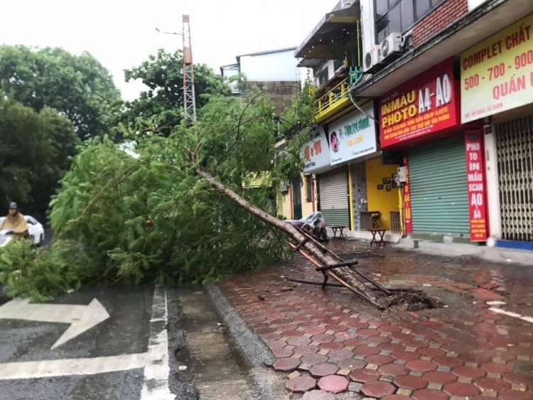 bao wipha ve trong dem gio lon quat cay coi ngon ngang o ha noi