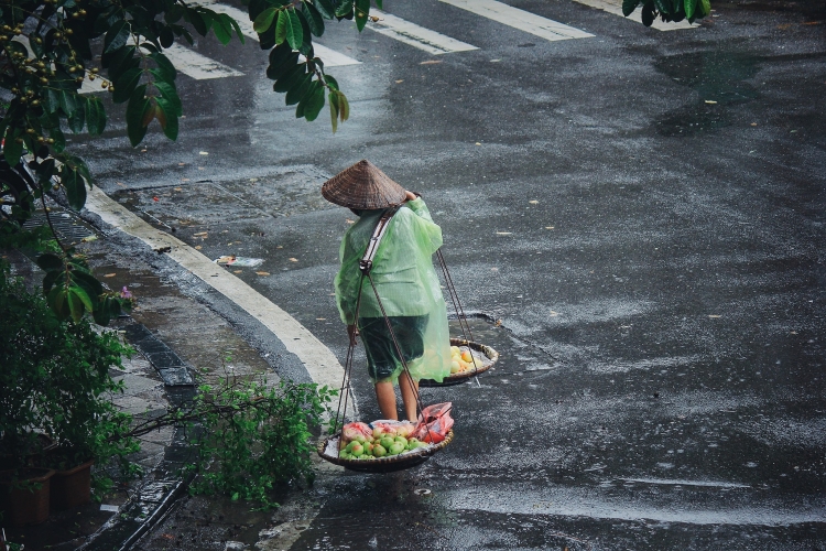 ha noi nhip song ngay mua bao