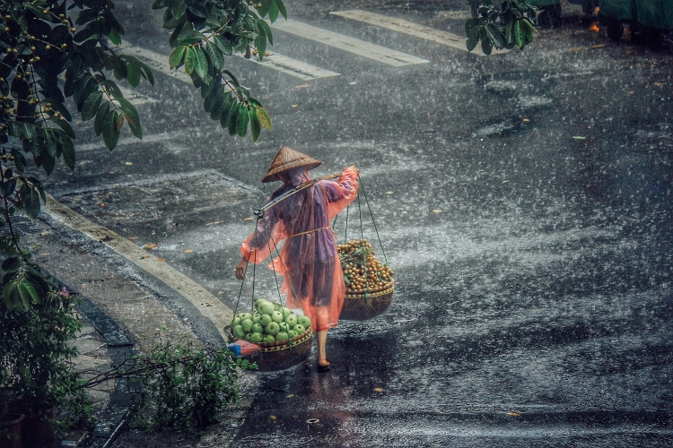 ha noi nhip song ngay mua bao