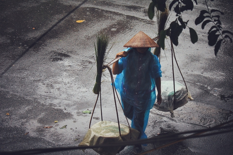 ha noi nhip song ngay mua bao