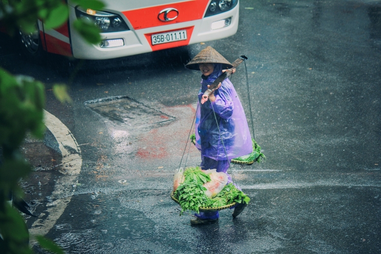 ha noi nhip song ngay mua bao